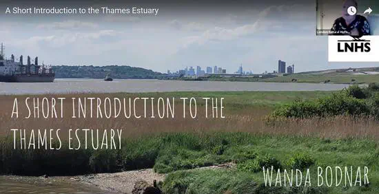 A Short Introduction to the Thames Estuary